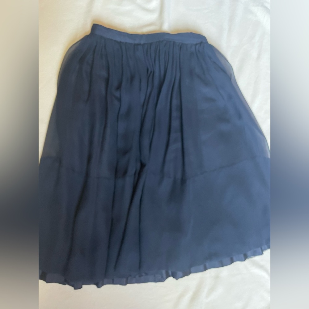 Vintage silk chiffon skirt with hand stitched hem. Piece of history!